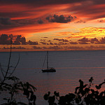 Thumbnail Photo for the Nuie Gallery.