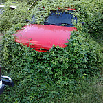 Thumb for Van