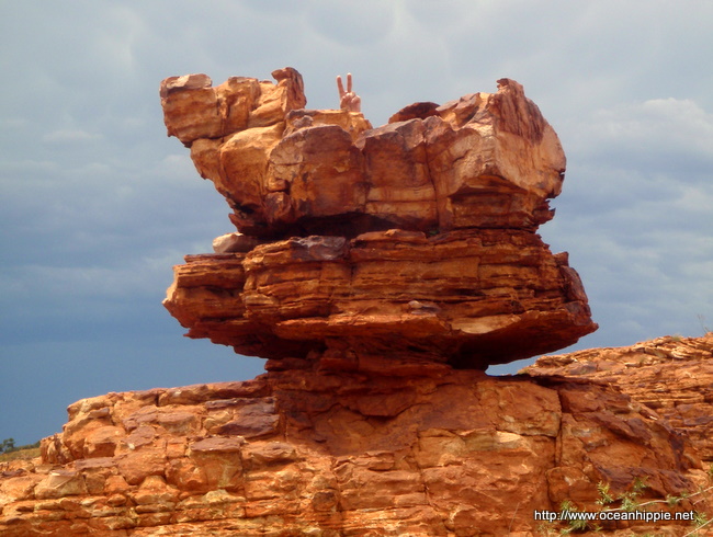 Image forKings Canyon Gallery