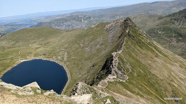 Image forStriding Edge Gallery